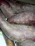 Boiled arrow root