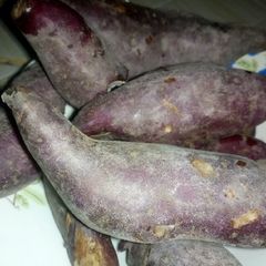 A picture of Boiled arrow root.