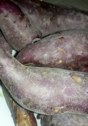 A picture of Boiled arrow root.