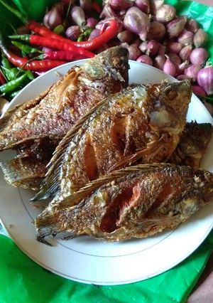 Foto resep Mujaher goreng gurih