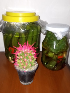 عکسی از دستور ترشی فلفل تند🌶🌶