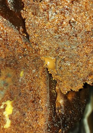 Una foto de Brownie americano con chips de chocolate 🍫 🇱🇷