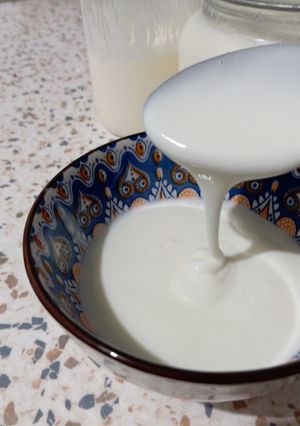 Foto resep 🟨Homemade Plain Yogurt 🟥