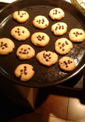 Una foto de Pepas con chispas de chocolate