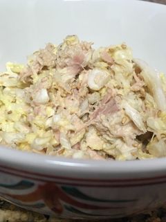 A picture of Chinese cabbage and tuna salad.