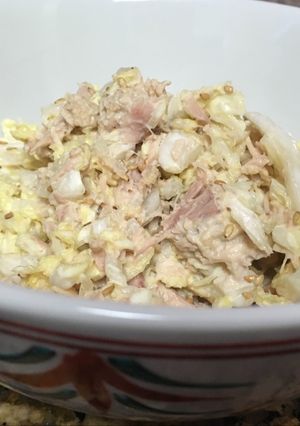 A picture of Chinese cabbage and tuna salad.