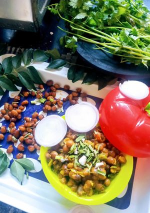 તુવેર ના ટોઠા(Tuver totha recipe in Gujarati) રેસીપી મુખ્ય ફોટો