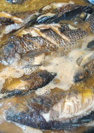 Foto resep Mujair Masak Kecap Pedas Manis