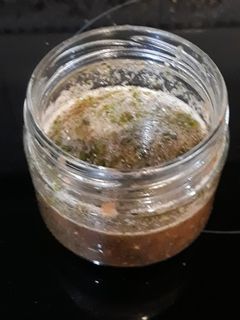 Una foto de Tomate con semillas de chía, ajo y perejil