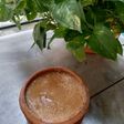Mishti Doi