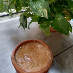 A picture of Mishti Doi.