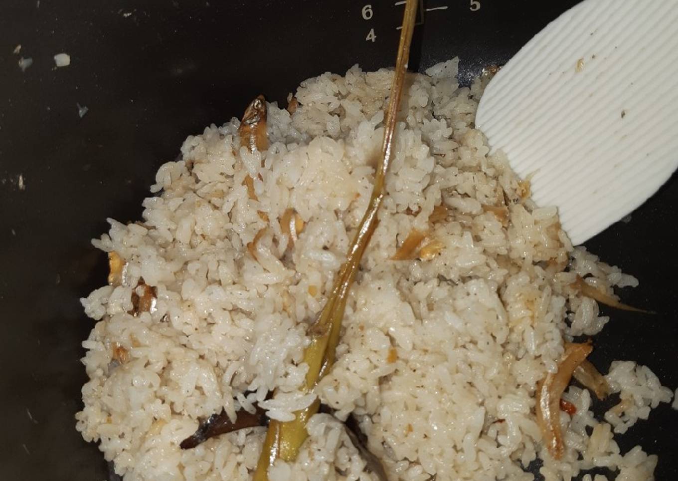 Nasi liwet Teri magic Com ������