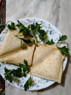 عکسی از دستور نون تست 🥪