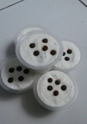 Foto resep Es Krim Super Lembut