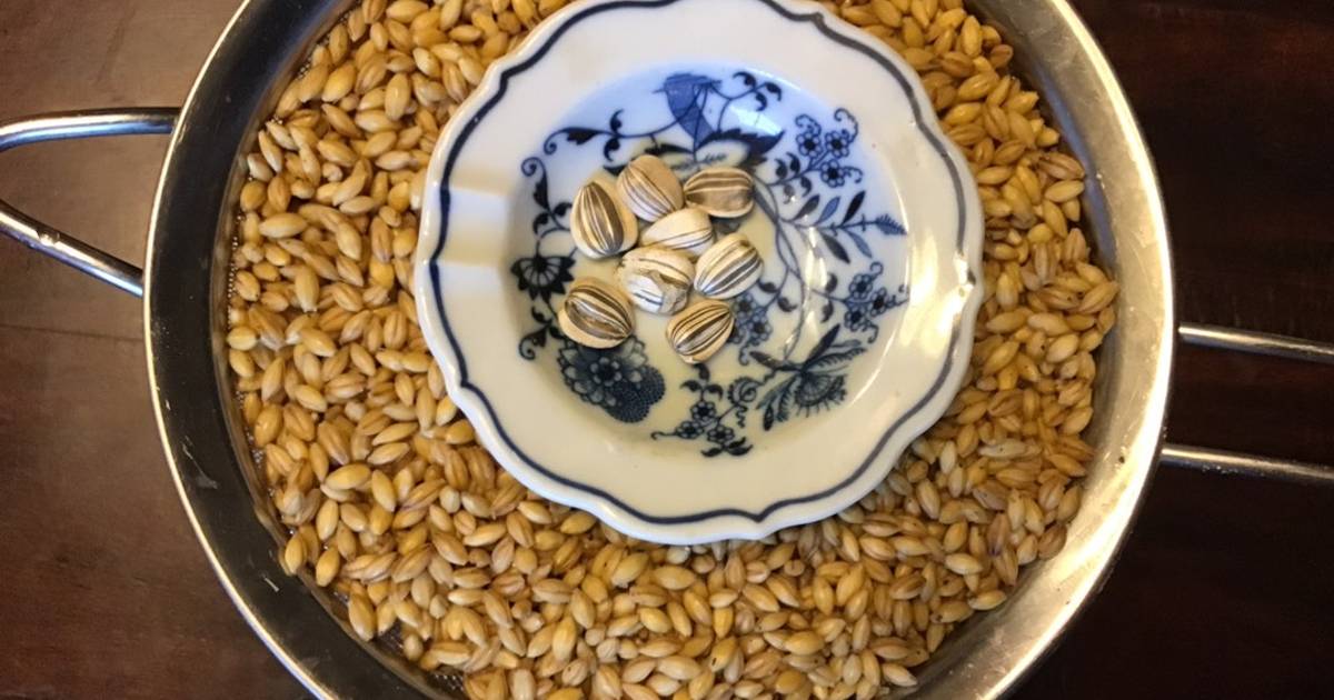 California Farm Barley Sprouts Recipe by Hobby Horseman Cookpad