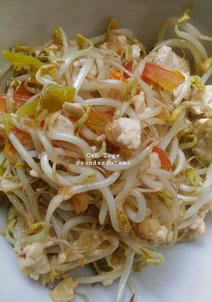 Foto resep Cah Tauge