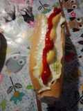 Completo