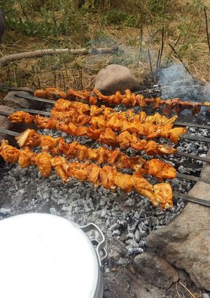 عکسی از دستور کباب خوشمزه