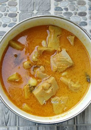 Foto resep Gulai Nangka Muda
