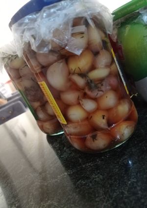 عکسی از دستور سیر ترشی