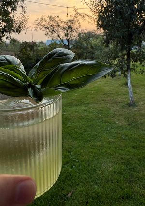 Фото Коктейль “Gin basil smash”.