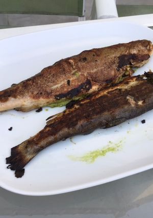 Une photo de Truites saumonées grillées farcies au pesto herbes et ail