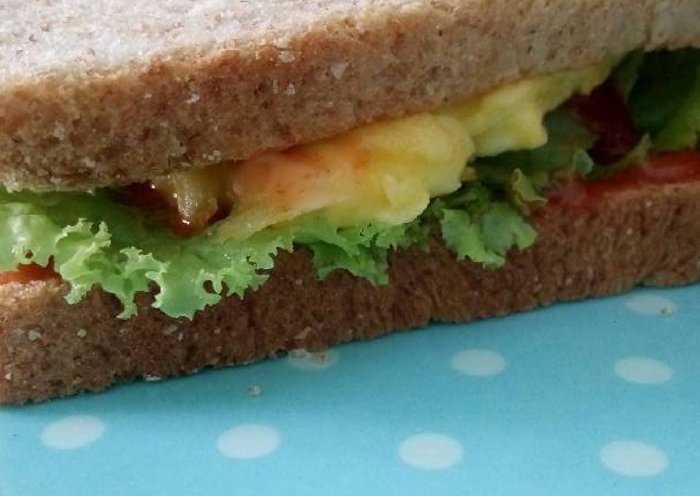 Sandwich diet