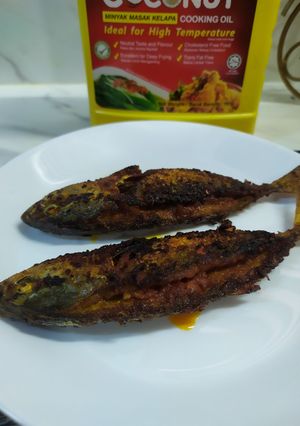 Gambar Ikan Pelaling Sumbat Sambal