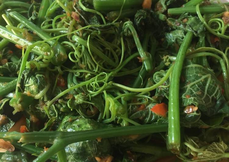 Langkah Mudah untuk Membuat Tumis Pucuk Labu Tauco Anti Gagal