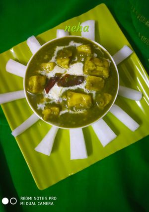 A picture of Evergreen Palak Paneer.