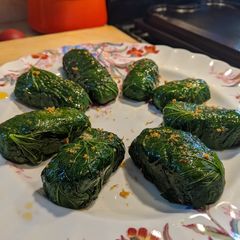 A picture of Wild Mustard garlic leaf and red dead nettle & wild onion dolmas.