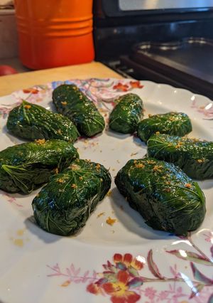A picture of Wild Mustard garlic leaf and red dead nettle & wild onion dolmas.