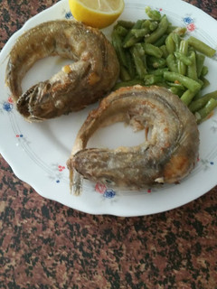 Una foto de Pescadilla que se muerde la cola