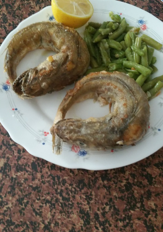 Una foto de Pescadilla que se muerde la cola