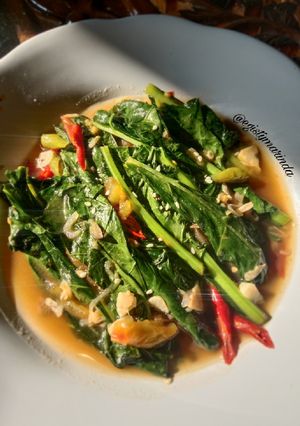 Foto resep Tumis Kailan