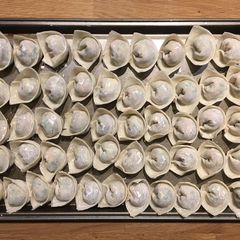 A picture of Wontons.