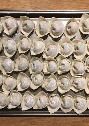 A picture of Wontons.