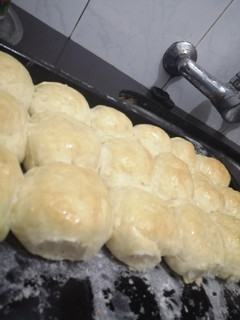 Una foto de Tortuguitas o pebetes caseros
