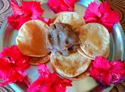 A picture of besan halwa