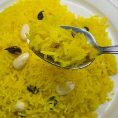 A picture of Zarda.