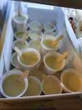 Paletas de coco, pilones, etc.