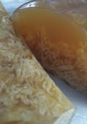 Foto resep Puding Lumut Gula Merah