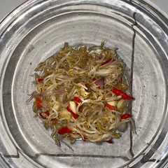 A picture of Tumis Toge.
