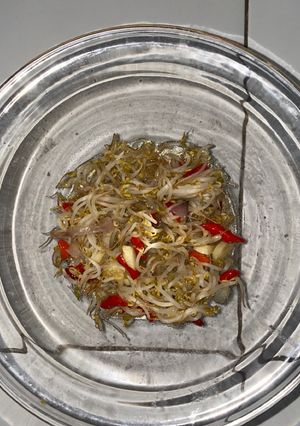 Foto resep Tumis Toge