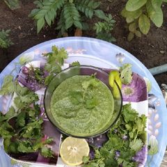 A picture of Coriander onions chutney.