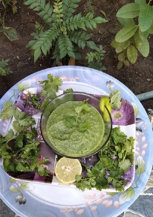 A picture of Coriander onions chutney.