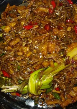 Foto resep Kering Tempe Teri Sederhana