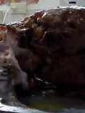 Pernil de cerdo