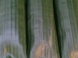 Rolade ayam ala2