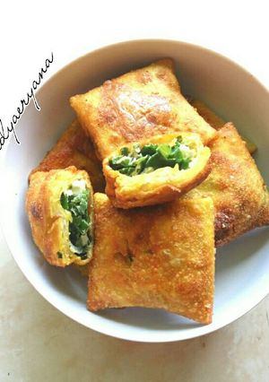 Foto resep Martabak kulit pangsit